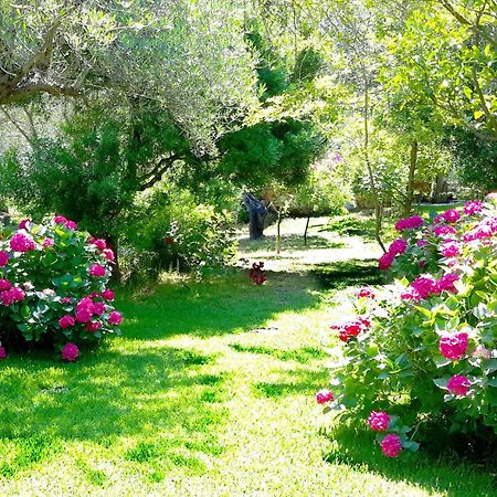 Villa Galini ซิโวตา ภายนอก รูปภาพ