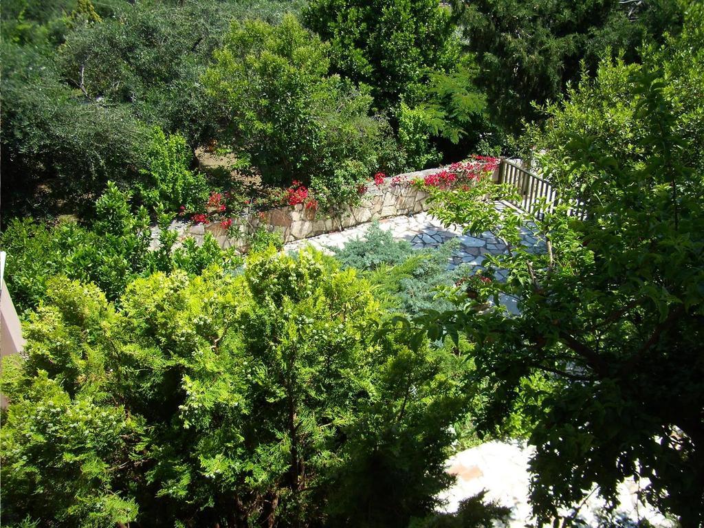Villa Galini ซิโวตา ภายนอก รูปภาพ