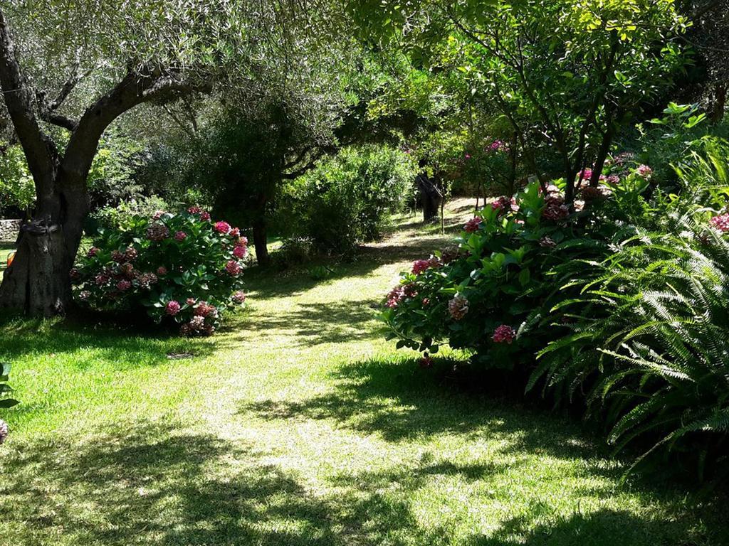 Villa Galini ซิโวตา ภายนอก รูปภาพ