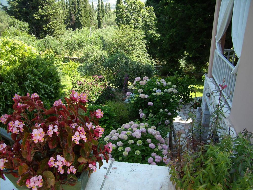 Villa Galini ซิโวตา ภายนอก รูปภาพ