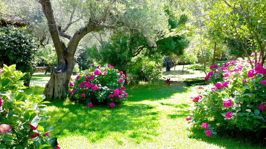 Villa Galini ซิโวตา ภายนอก รูปภาพ